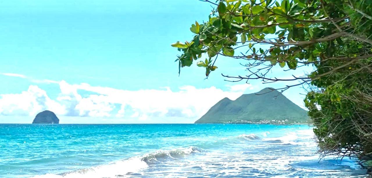 Coco Paradise Le Diamant Exteriér fotografie